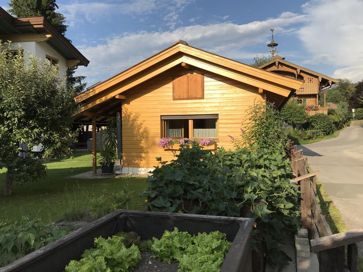 Ferienhaus Hofwimmer Kirchberg in Tirol Bagian luar foto